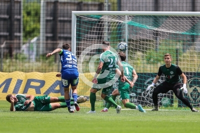 DSV Leoben vs. Hartberg