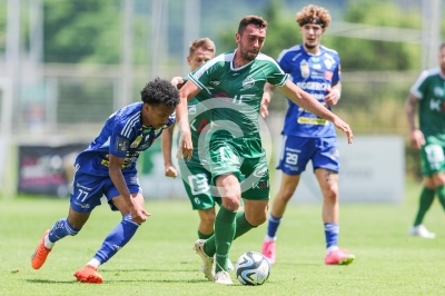 DSV Leoben vs. Hartberg
