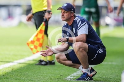 DSV Leoben vs. Hartberg