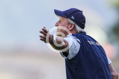 DSV Leoben vs. Hartberg
