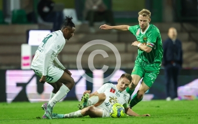 DSV Leoben vs. Rapid Wien