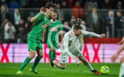 DSV Leoben vs. Rapid Wien