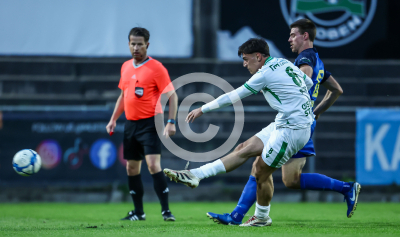 DSV Leoben vs. Schladming