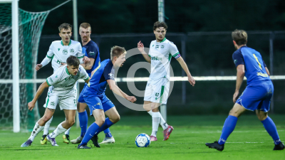 DSV Leoben vs. Schladming