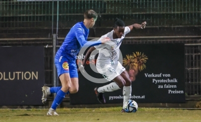 DSV Leoben vs. Stripfing