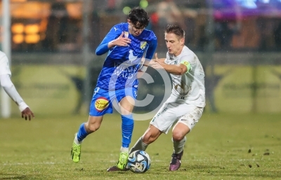 DSV Leoben vs. Stripfing