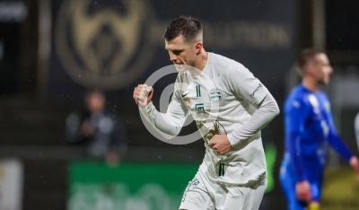 DSV Leoben vs. Stripfing