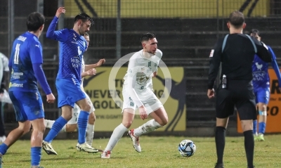 DSV Leoben vs. Stripfing