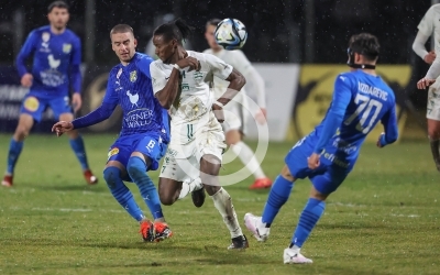 DSV Leoben vs. Stripfing