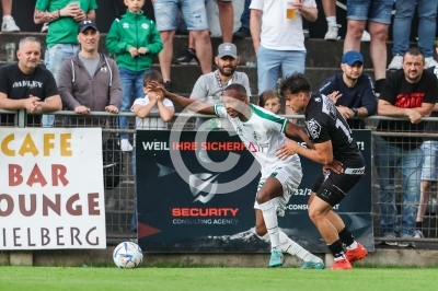 DSV Leoben vs. WAC Amateure