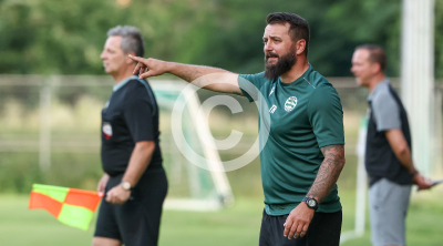 DSV Leoben vs. Wildon