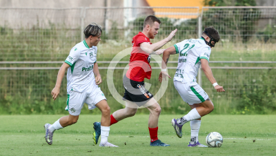 DSV Leoben vs. Wildon