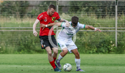 DSV Leoben vs. Wildon