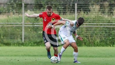 DSV Leoben vs. Wildon