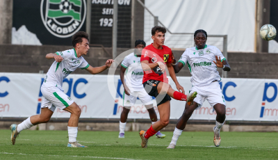 DSV Leoben vs. Wildon