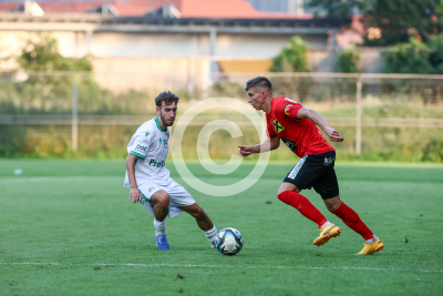 DSV Leoben vs. Wildon