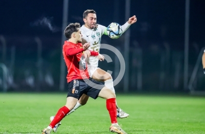 DSV Leoben vs. Wildon