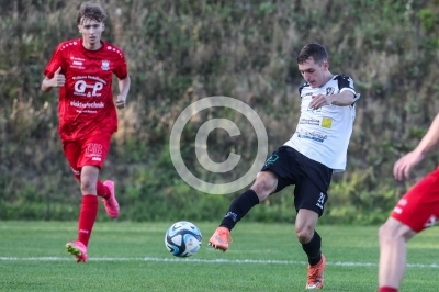 Edelschrott vs. Ligist II