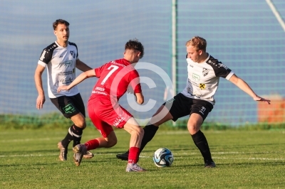 Edelschrott vs. Ligist II