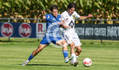Eggendorf Hartberg Amateure vs. Wildon 