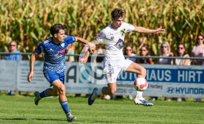 Eggendorf Hartberg Amateure vs. Wildon 