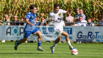 Eggendorf Hartberg Amateure vs. Wildon 