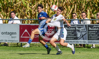 Eggendorf Hartberg Amateure vs. Wildon 