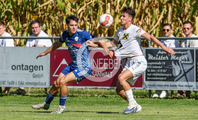 Eggendorf Hartberg Amateure vs. Wildon 