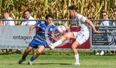 Eggendorf Hartberg Amateure vs. Wildon 