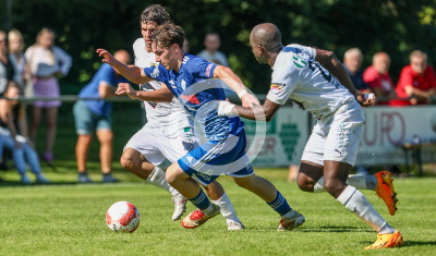 Eggendorf Hartberg Amateure vs. Wildon 