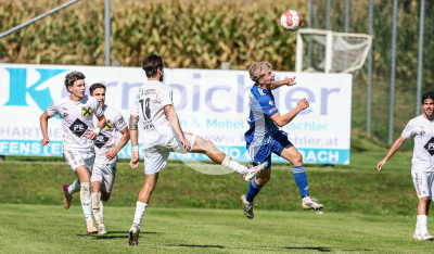 Eggendorf Hartberg Amateure vs. Wildon 