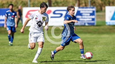 Eggendorf Hartberg Amateure vs. Wildon 