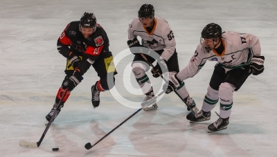 EV Zeltweg vs. Dukes Graz