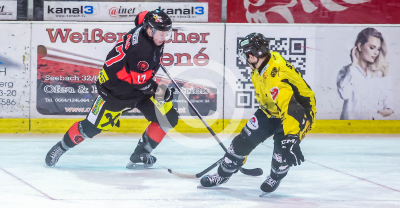 EV Zeltweg vs. Hornets Spittal