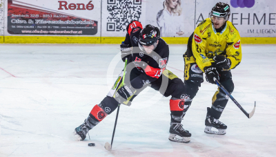 EV Zeltweg vs. Hornets Spittal