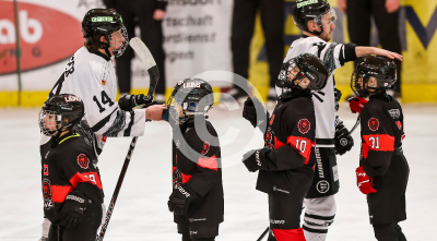 EV Zeltweg vs. LE Kings