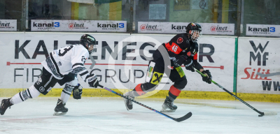 EV Zeltweg vs. LE Kings