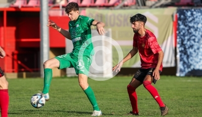 Flavia Solva II vs. Stallhofen