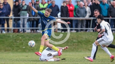Fohnsdorf vs. Weisskirchen