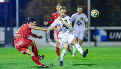 Fuerstenfeld vs. Wildon