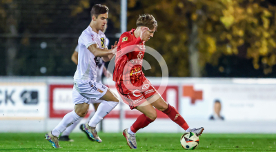 Fuerstenfeld vs. Wildon