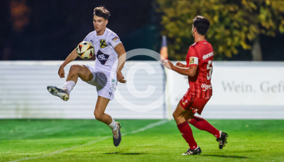 Fuerstenfeld vs. Wildon