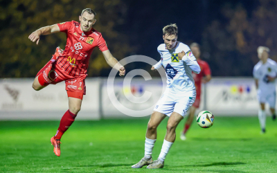 Fuerstenfeld vs. Wildon