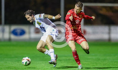 Fuerstenfeld vs. Wildon