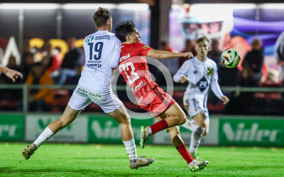 Fuerstenfeld vs. Wildon