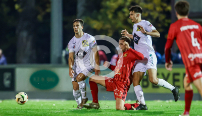 Fuerstenfeld vs. Wildon