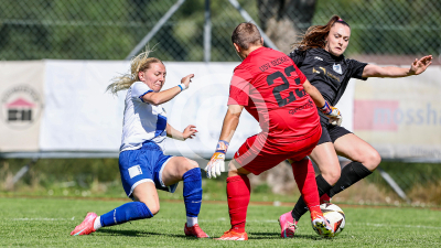 Girls Seckau vs. Koetz Haus Ladies Hengsberg