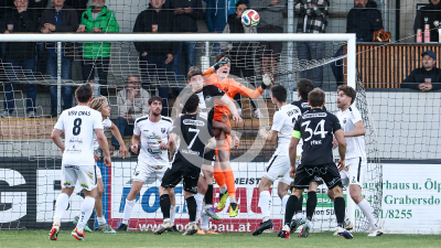 Gnas vs. Lebring
