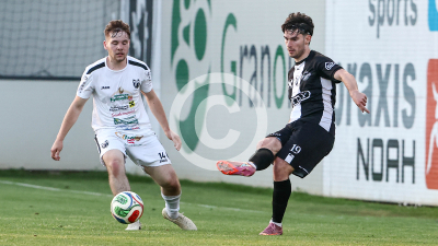 Gnas vs. Lebring