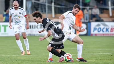 Gnas vs. Lebring